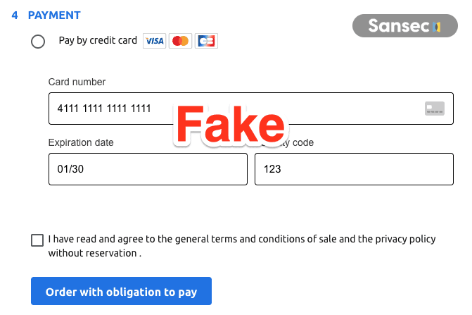 Fake payment form injected by the skimmer into the retailer checkout page, with card number, expiry, and CVV fields